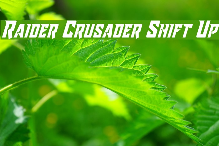 Raider Crusader Shift Up Font examples