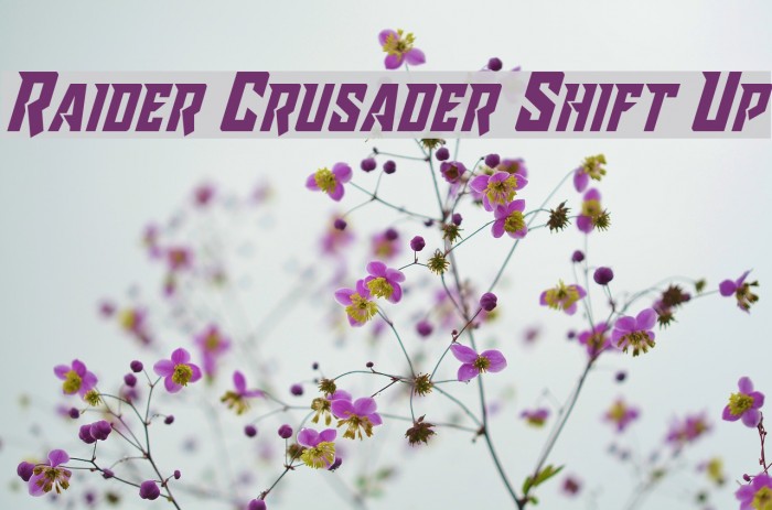Raider Crusader Shift Up Font examples