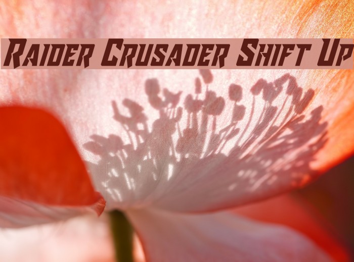 Raider Crusader Shift Up Font examples