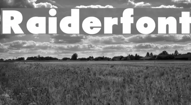 Raiderfont Font examples