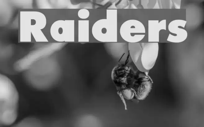 Raiders Caratteri examples