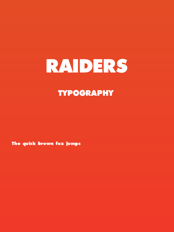 Raiders Poster