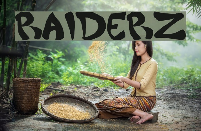 Raiderz Font examples