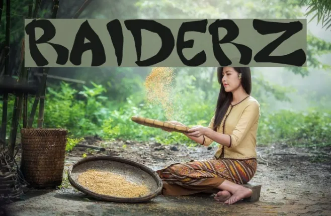 Raiderz Example 1
