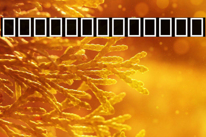 Raidho Theodings Example 1