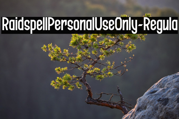 RaidspellPersonalUseOnly-Regula Example 2