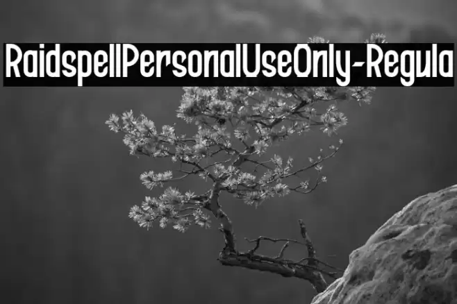 RaidspellPersonalUseOnly-Regula Font examples