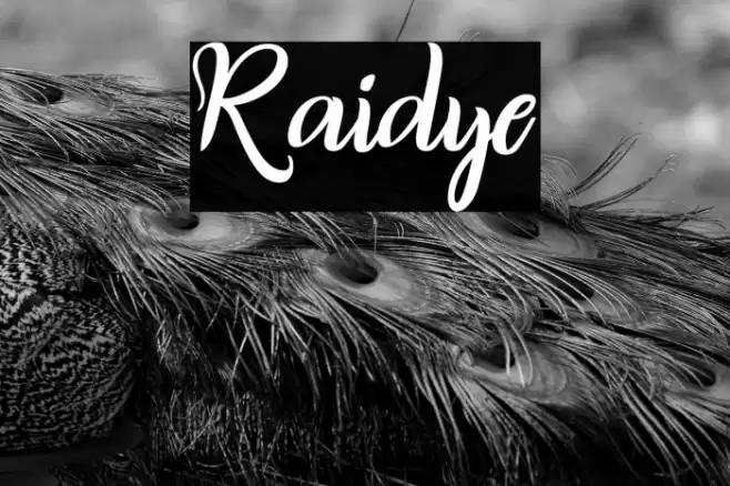 Raidye Font examples
