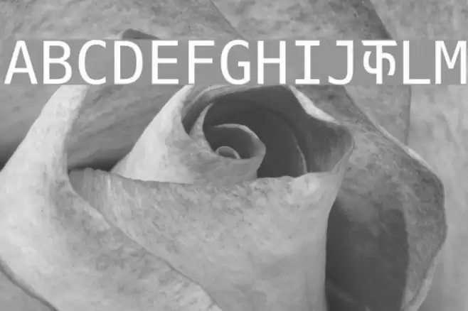 Rail Model Font examples
