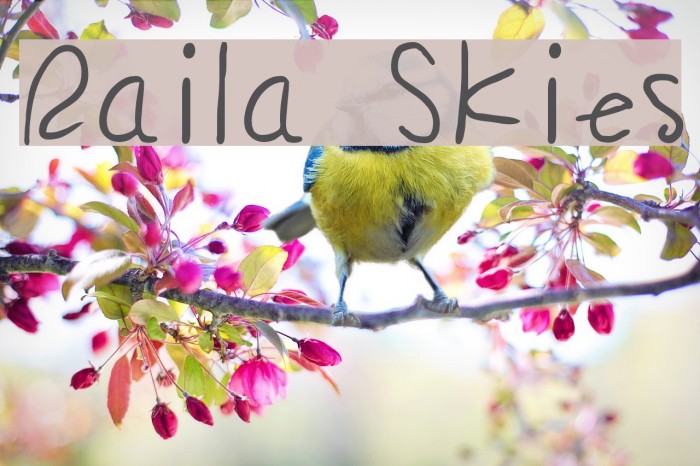 Raila Skies Font examples