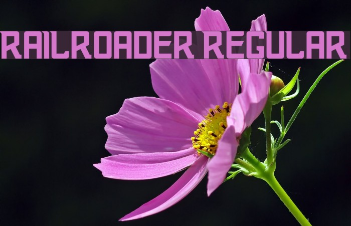 Railroader Regular Font examples