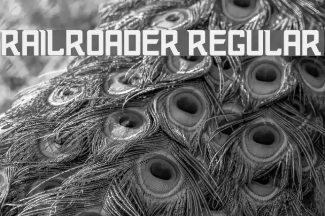 Railroader Regular Font examples