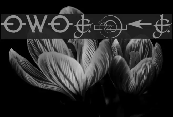 RailwayAlternate Font examples