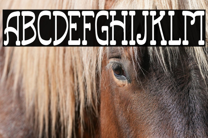 RailwayFREE Example 1