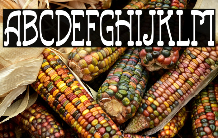 RailwayFREE Example 2