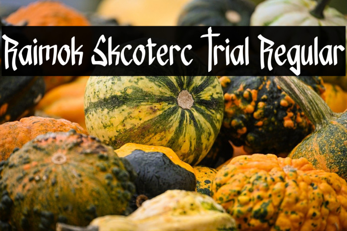 Raimok Skcoterc Trial Regular Font examples