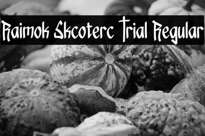 Raimok Skcoterc Trial Regular Schriftart examples