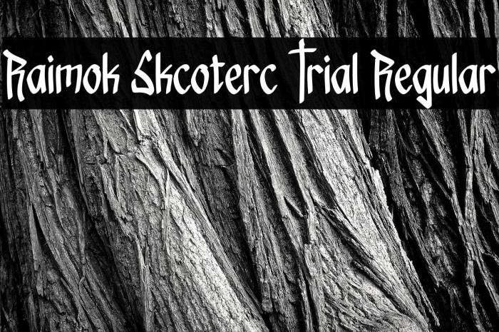 Raimok Skcoterc Trial Regular Font examples