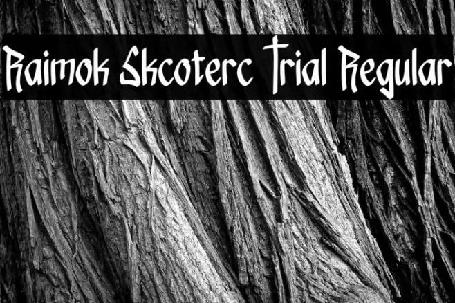 Raimok Skcoterc Trial Regular Schriftart examples