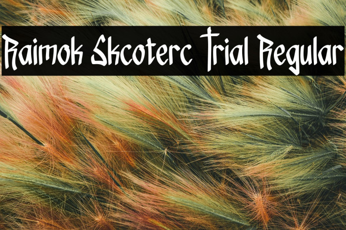 Raimok Skcoterc Trial Regular Font examples