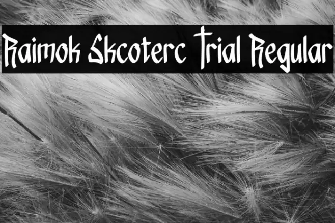 Raimok Skcoterc Trial Regular Schriftart examples