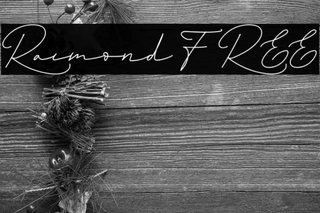 Raimond FREE Polices examples