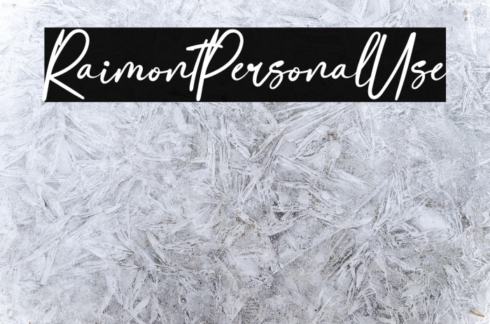 RaimontPersonalUse Example 1