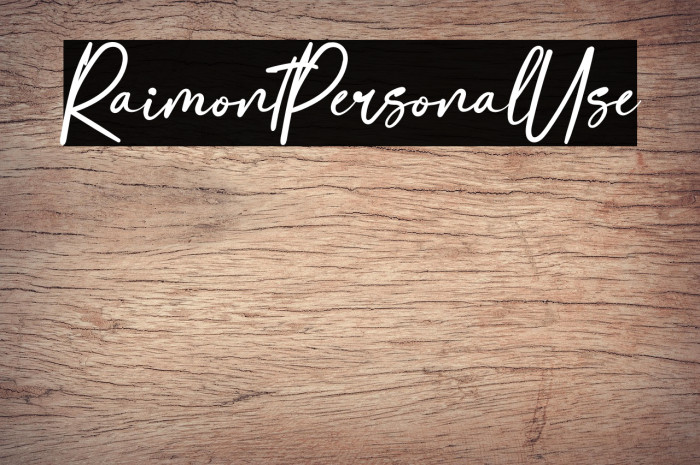 RaimontPersonalUse Example 2