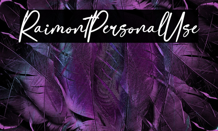 RaimontPersonalUse Example 3