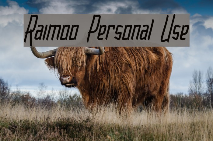 Raimoo Personal Use Font examples