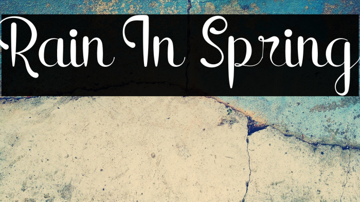 Rain In Spring Example 2