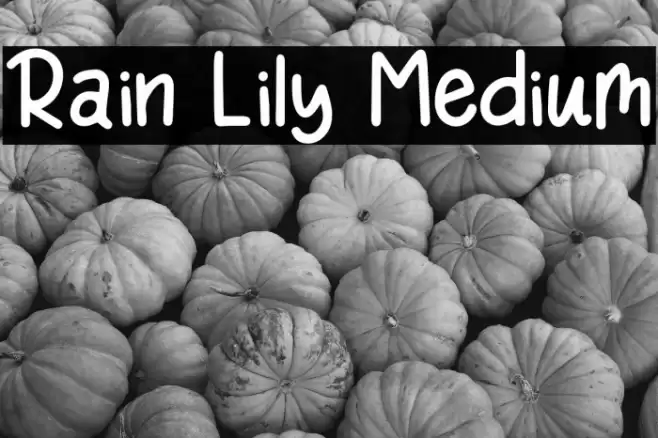 Rain Lily Medium Font examples