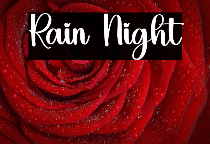 Rain Night Example 2