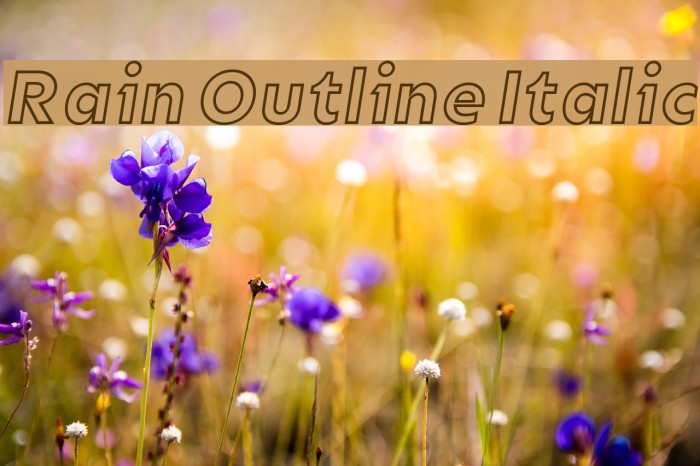 Rain Outline Italic Font examples