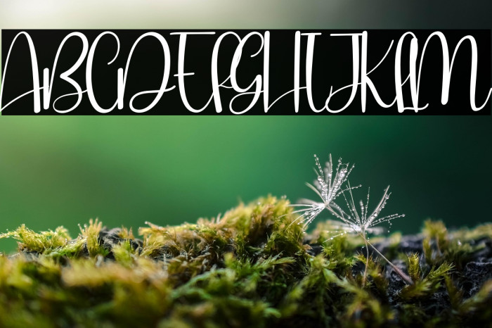 Rain Rumble Example 1