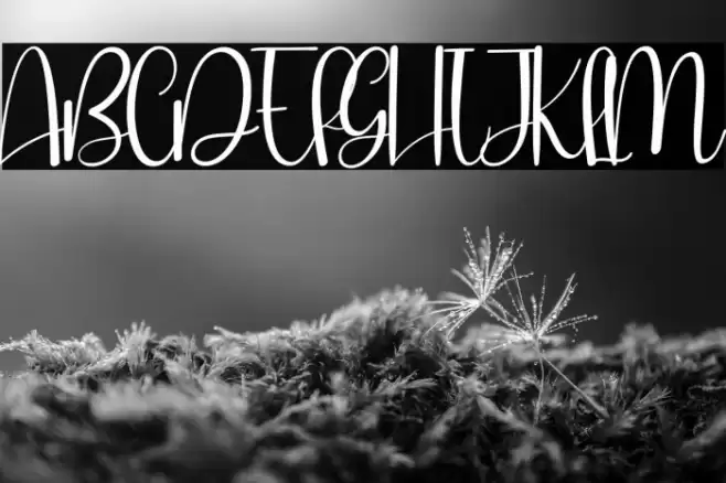 Rain Rumble Caratteri examples