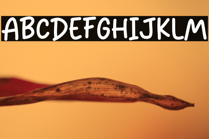 Rain Strom Example 2