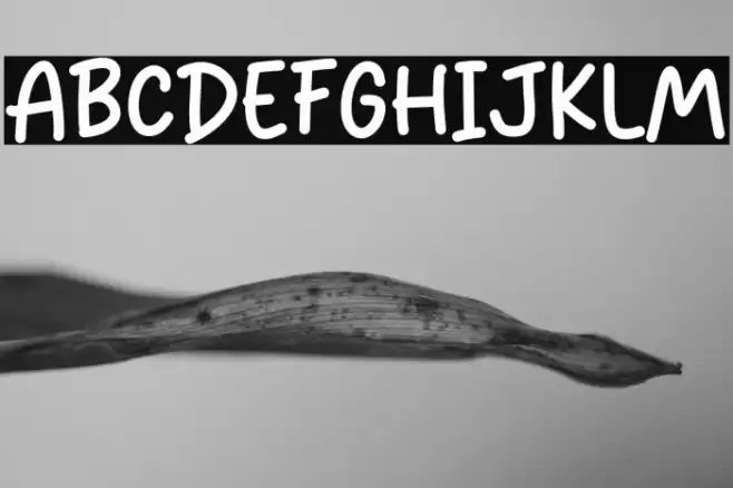 Rain Strom Font examples