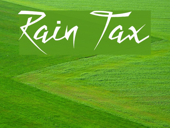 Rain Tax Example 1