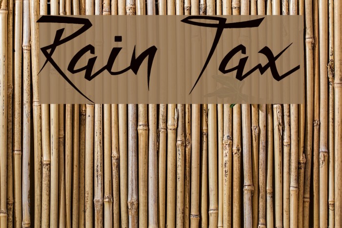 Rain Tax Example 2