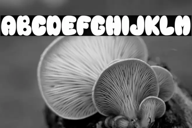 Rainball Font examples