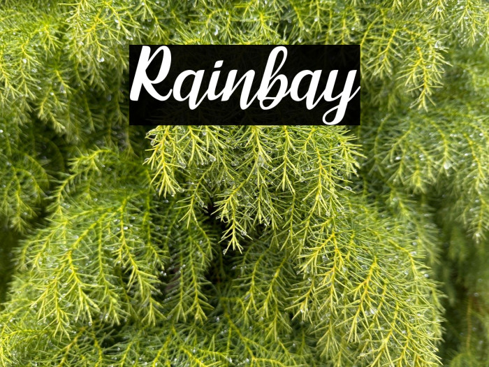 Rainbay Example 1