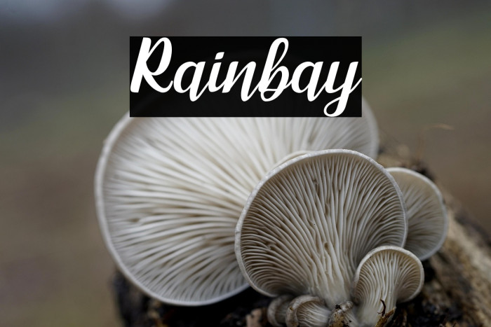 Rainbay Example 2