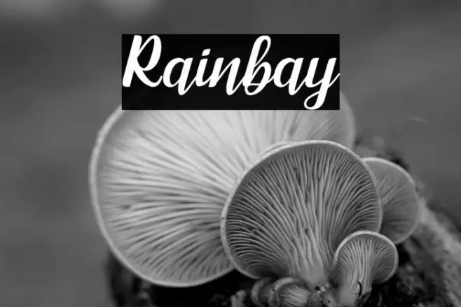 Rainbay Font examples