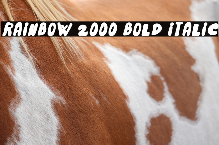 Rainbow 2000 Bold Italic Example 1