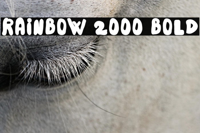 Rainbow 2000 Bold Example 2