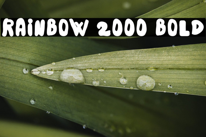 Rainbow 2000 Bold Example 3