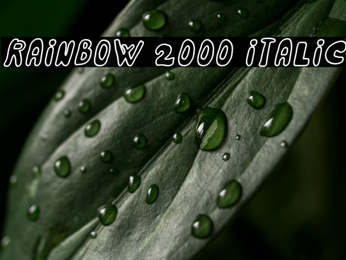 Rainbow 2000 Italic Example 3