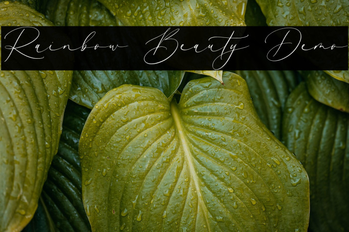 Rainbow Beauty Demo Example 1