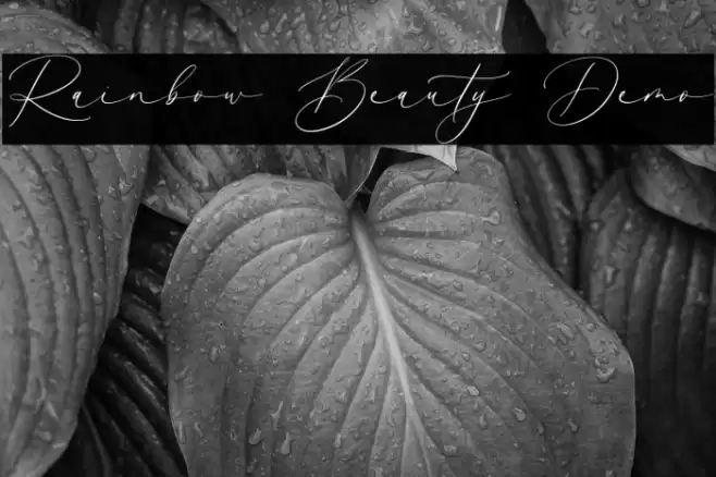 Rainbow Beauty Demo Font examples